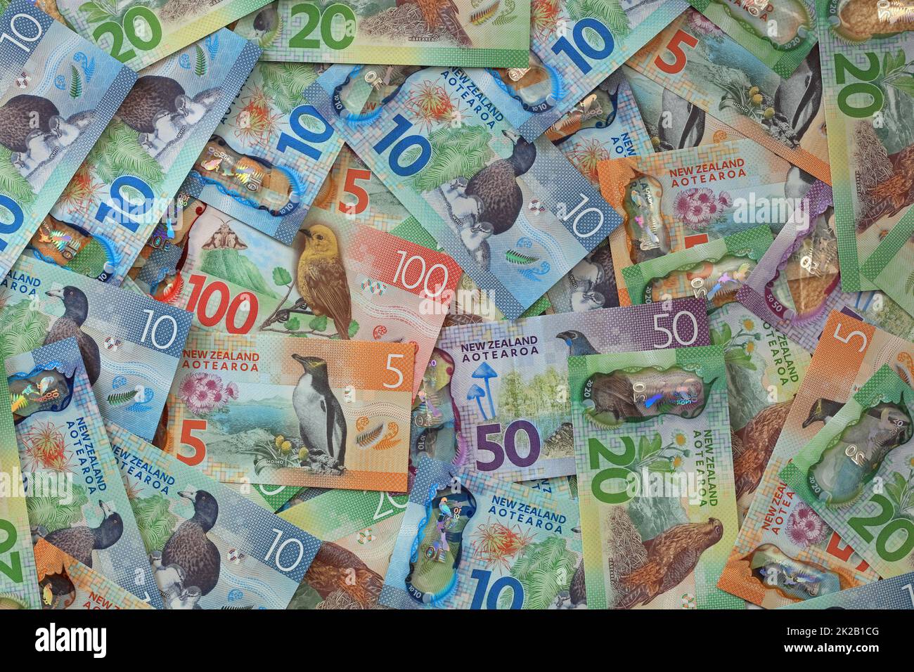 Neuseeländische Dollar-Banknoten Stockfoto