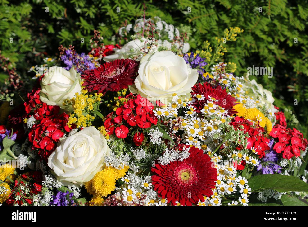 Sommerblumen Stockfoto