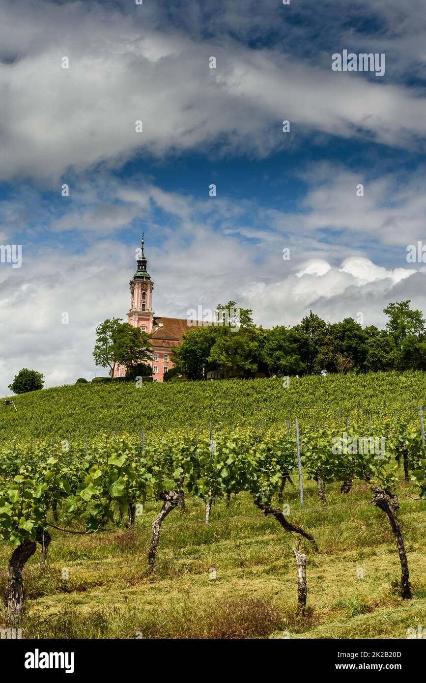 Wallfahrtskirche Birnau am Bodensee, Uhldingen-Mühlhofen, Baden-Württemberg, Deutschland Stockfoto