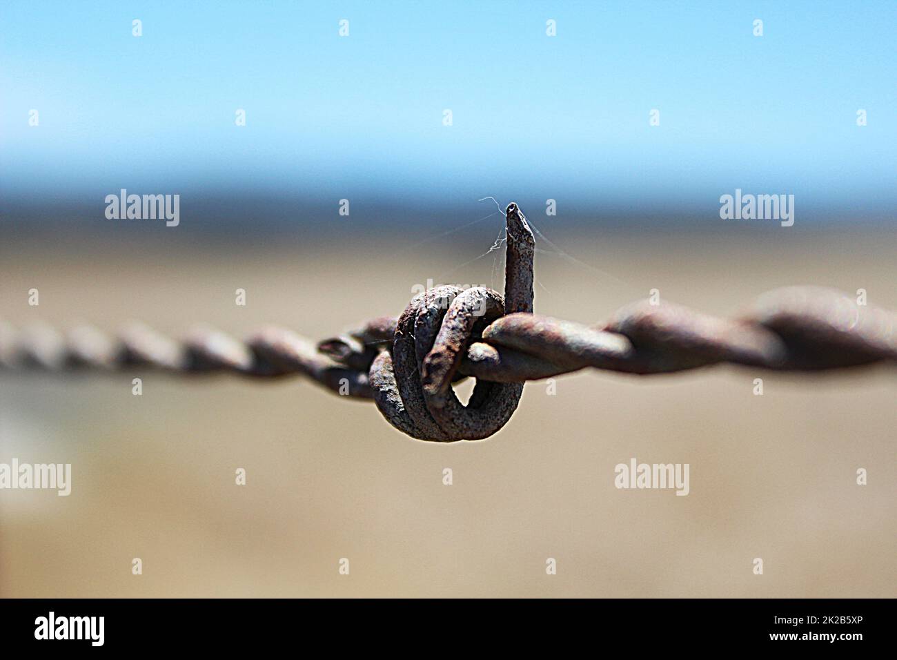 Rustikales Fechten im ländlichen Neuseeland Stockfoto
