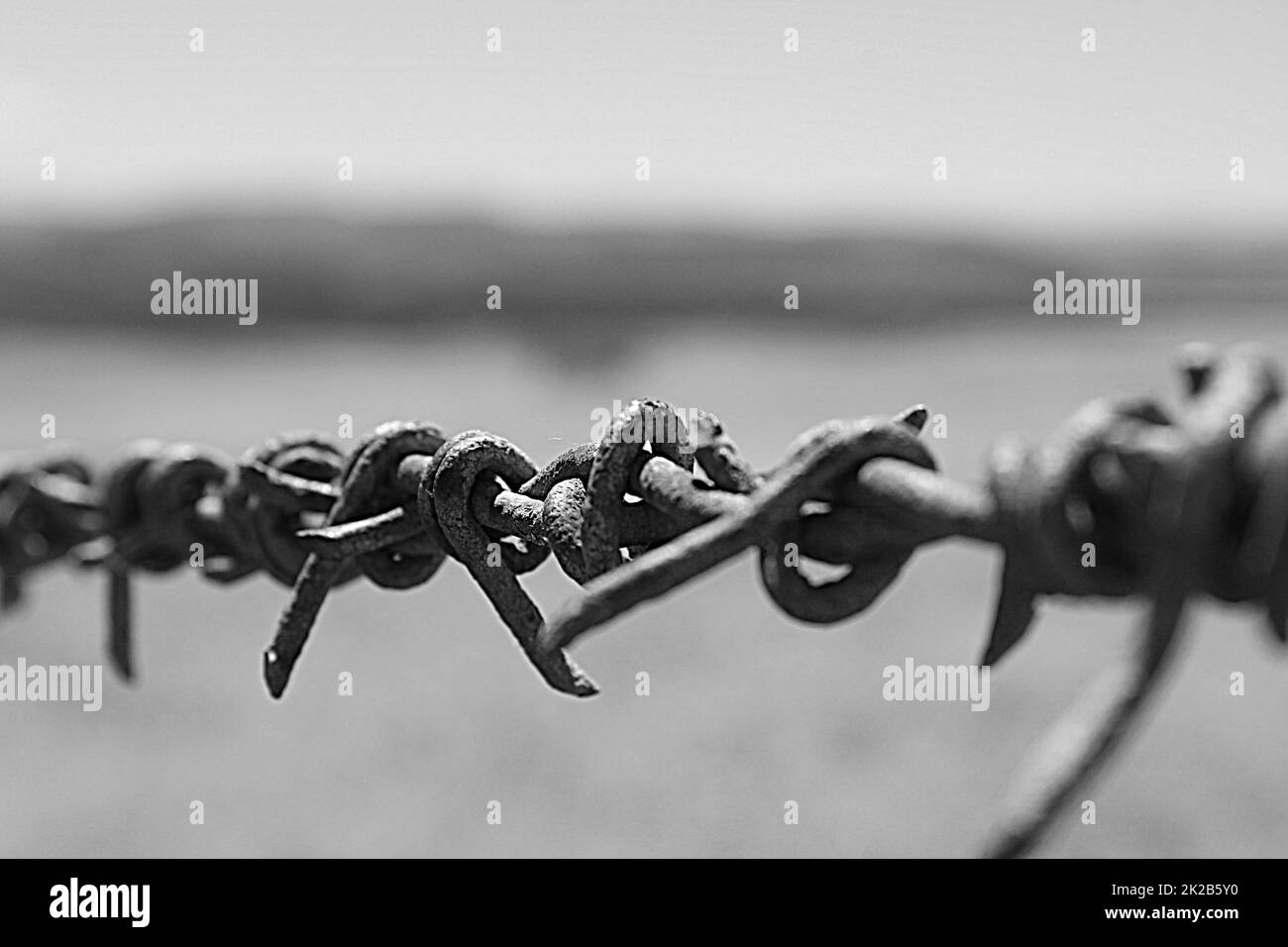Rustikales Fechten im ländlichen Neuseeland Stockfoto