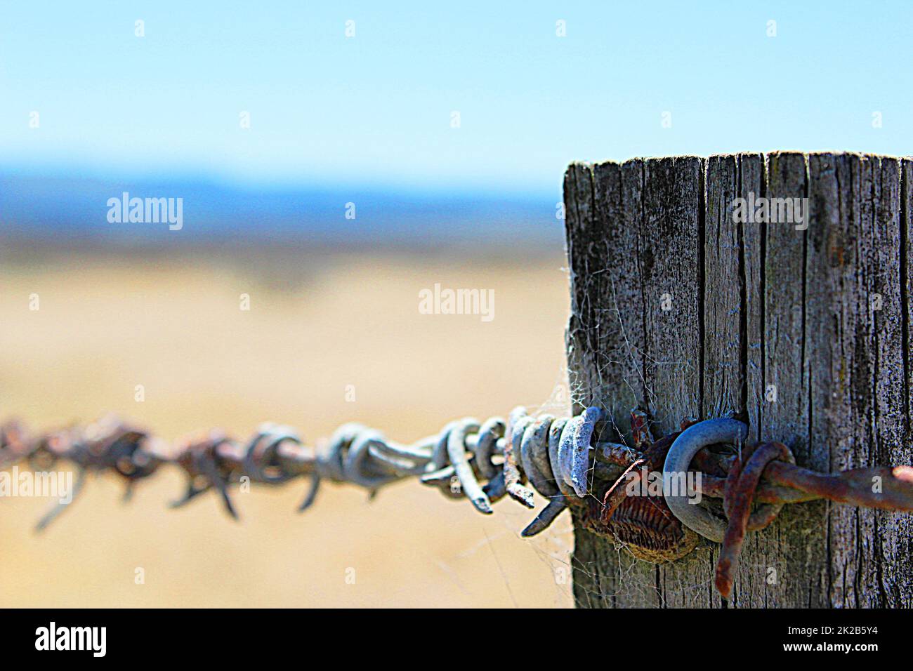 Rustikales Fechten im ländlichen Neuseeland Stockfoto
