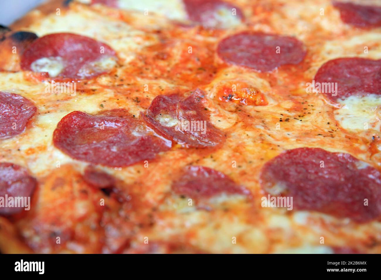 Frische italienische Pizza mit Salami, Tomaten und Käse Stockfoto