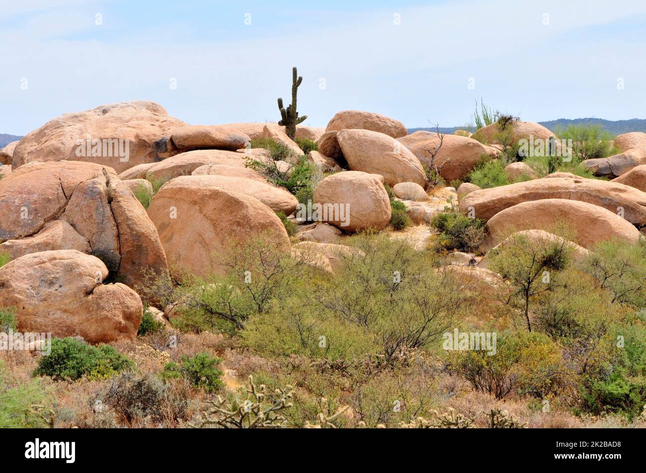 Boulders Sonora Wüste Arizona Stockfoto