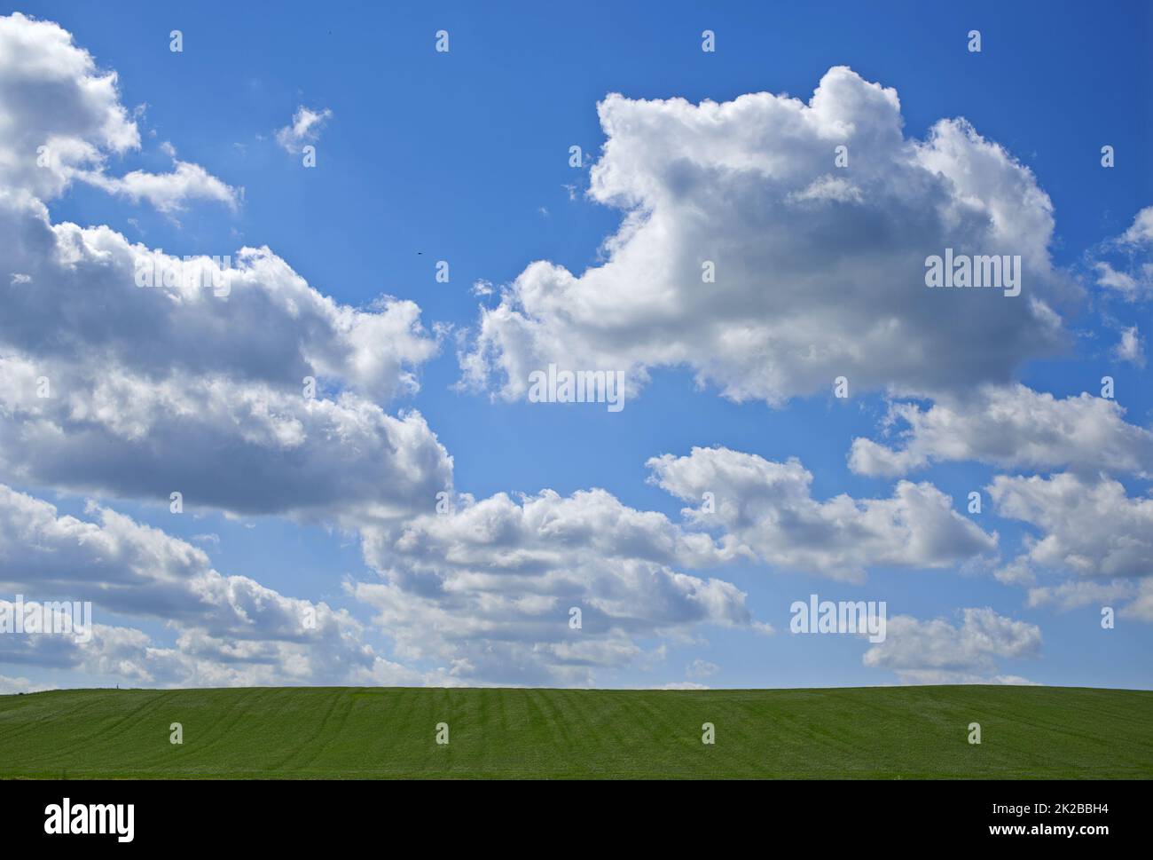 Grüne Felder und blauer Himmel. Naturfotos aus Dänemark. Stockfoto
