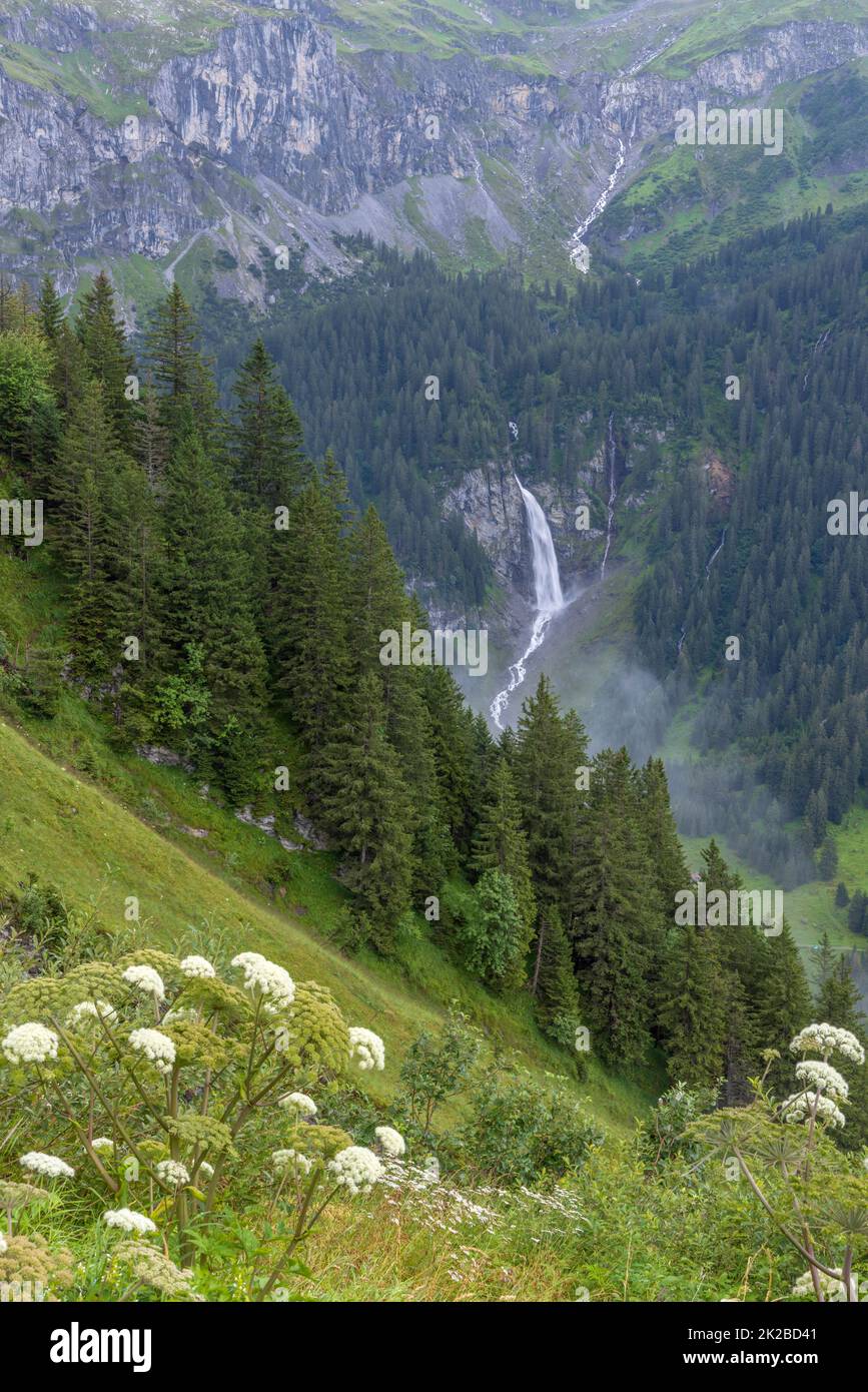 Typische Alpenlandschaft mit Wasserfällen (Niemerstafelbachfall), Schweizer Alpen bei Klausenstraße, Spiringen, Kanton Uri, Schweiz Stockfoto