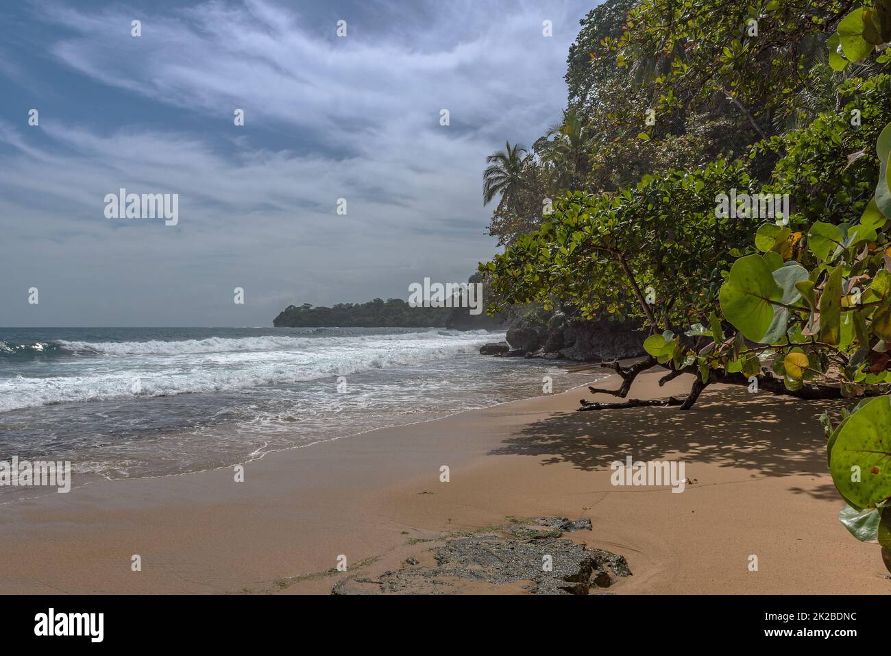 Strand und ein unberührter Dschungel in Puerto Viejo, Costa Rica Stockfoto