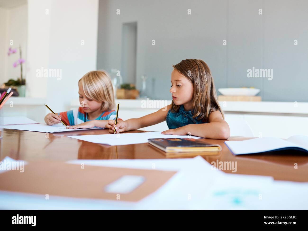 Bildung sollte ihre Grundlage im Leben sein. Aufnahme von zwei entzückenden kleinen Kindern, die zu Hause ihre Hausaufgaben machen. Stockfoto