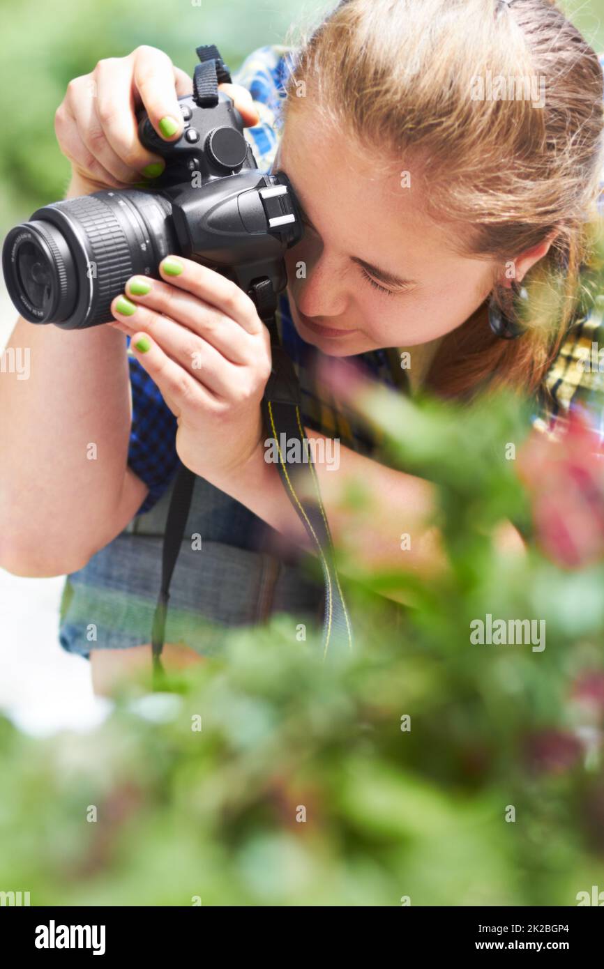 Fokus auf Naturfotografie. Eine wunderschöne junge Frau, die sich durch das Objektiv ihrer Kamera fokussiert. Stockfoto