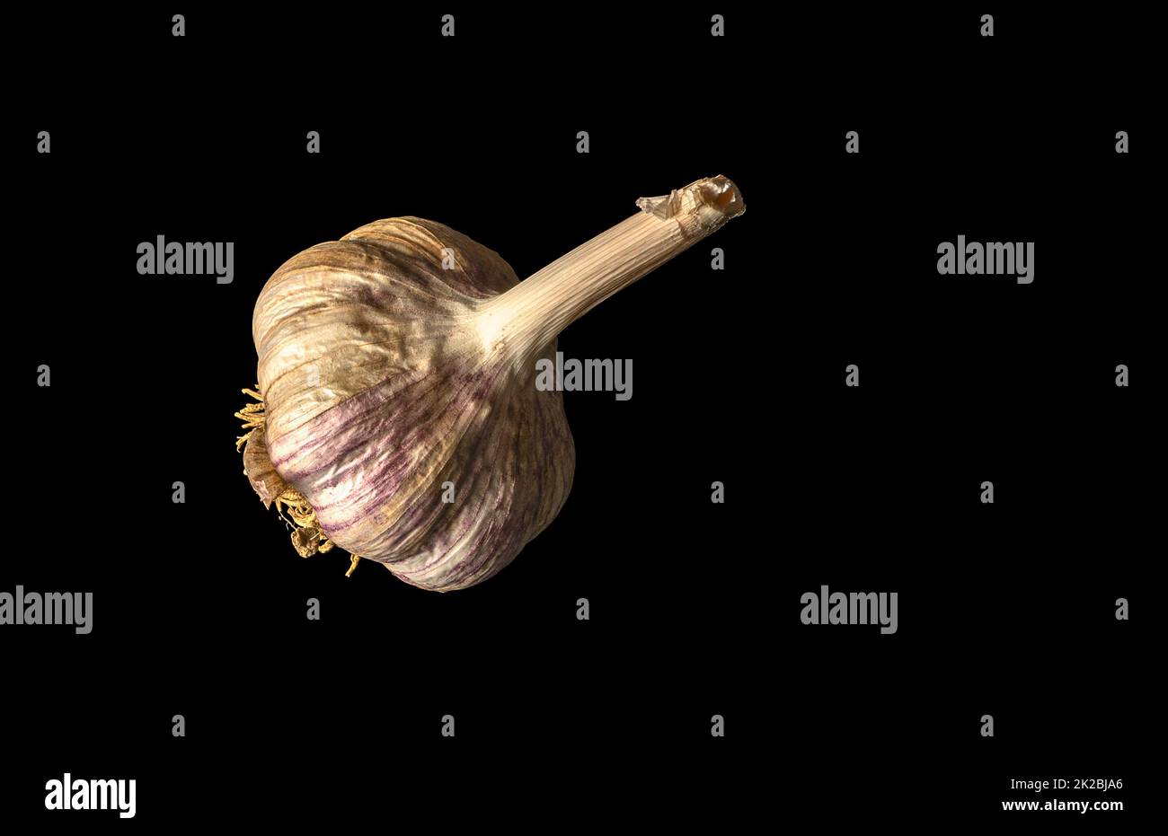 Knoblauch in schwarzem Rücken Stockfoto