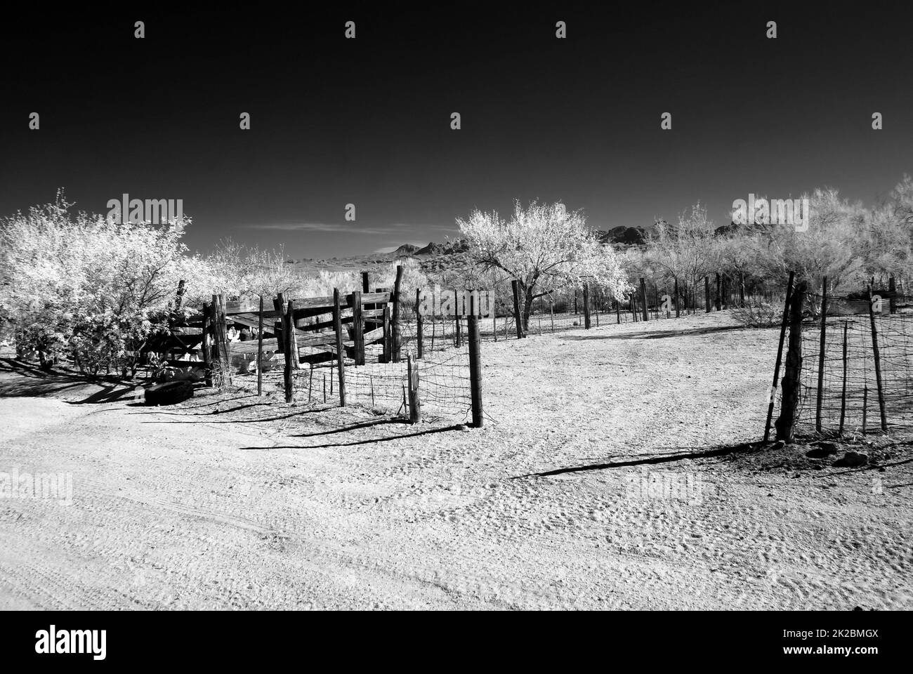 Desert Corral Stockfoto