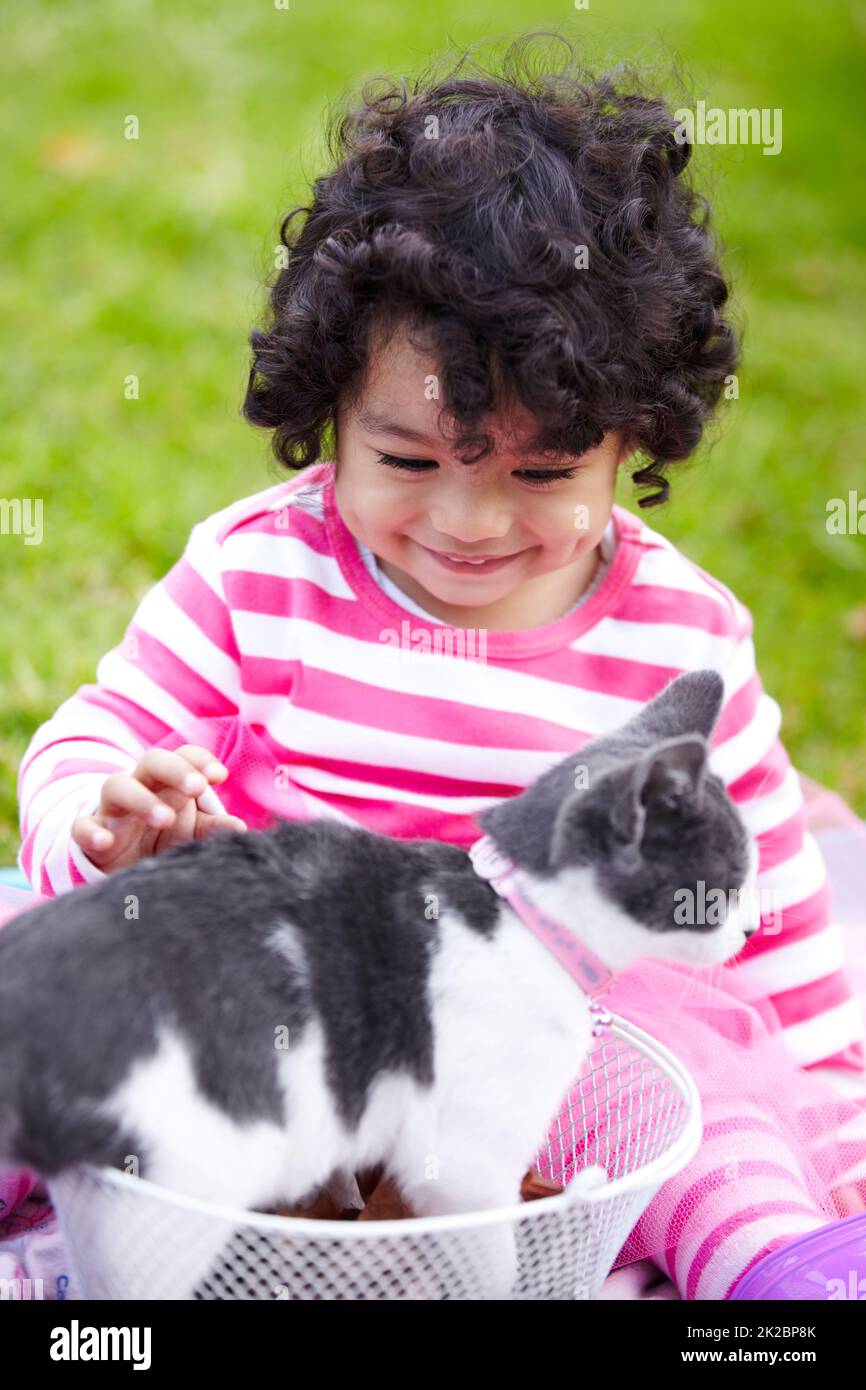 Sie liebt ihr Kitty. Nettes kleines Mädchen, das auf dem Rasen mit ihrem niedlichen Kätzchen in einem Korb sitzt. Stockfoto