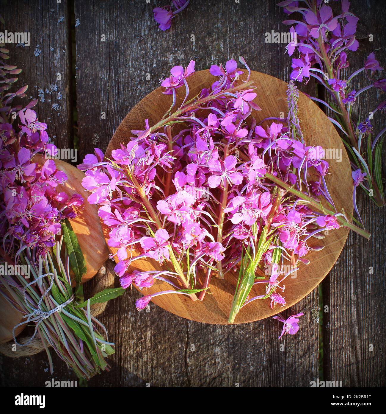 Blume Weidenröschen - Epilobium Angustifolium auf hölzernen Hintergrund. Ansicht von oben Stockfoto