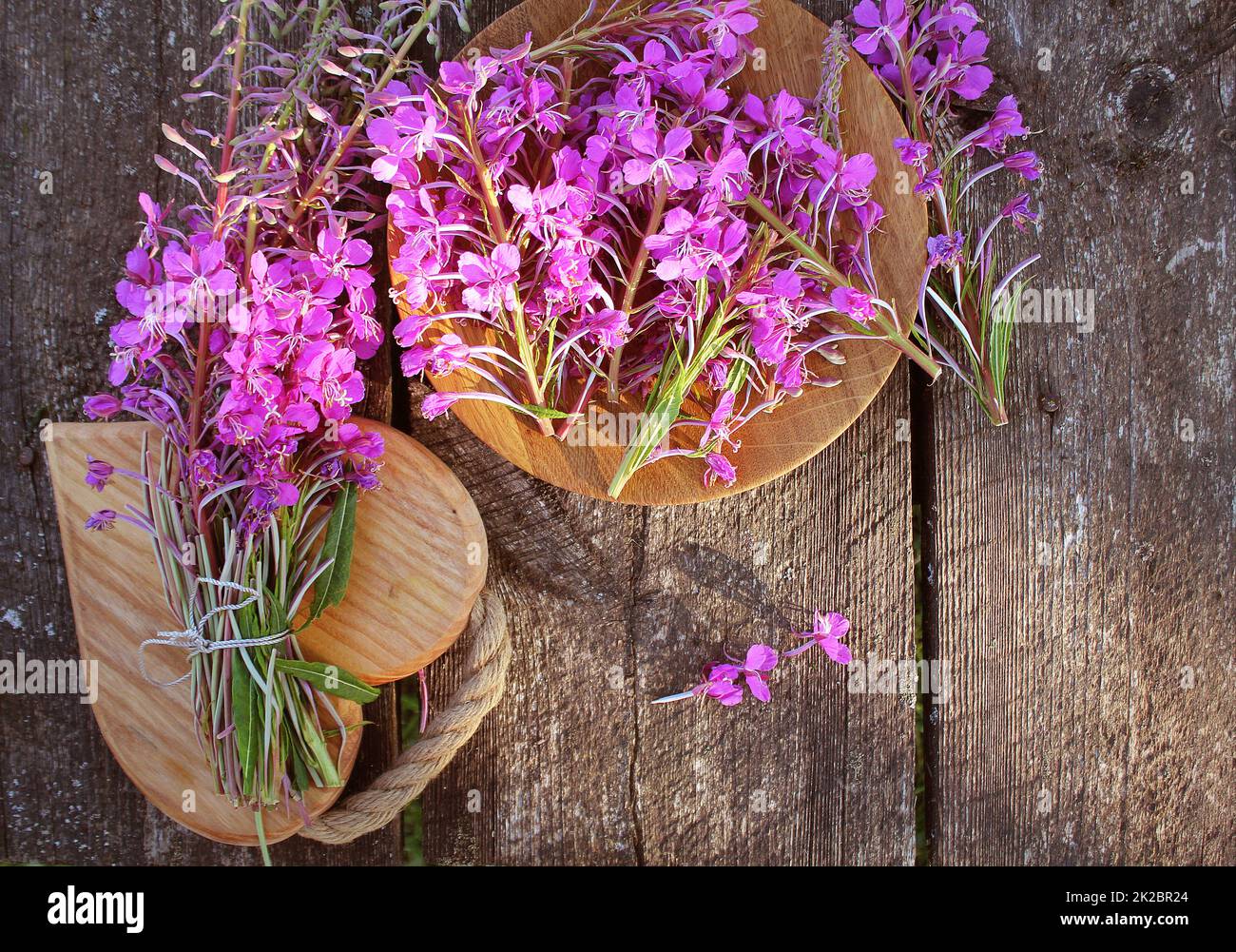 Blume Weidenröschen - Epilobium Angustifolium auf hölzernen Hintergrund. Ansicht von oben Stockfoto