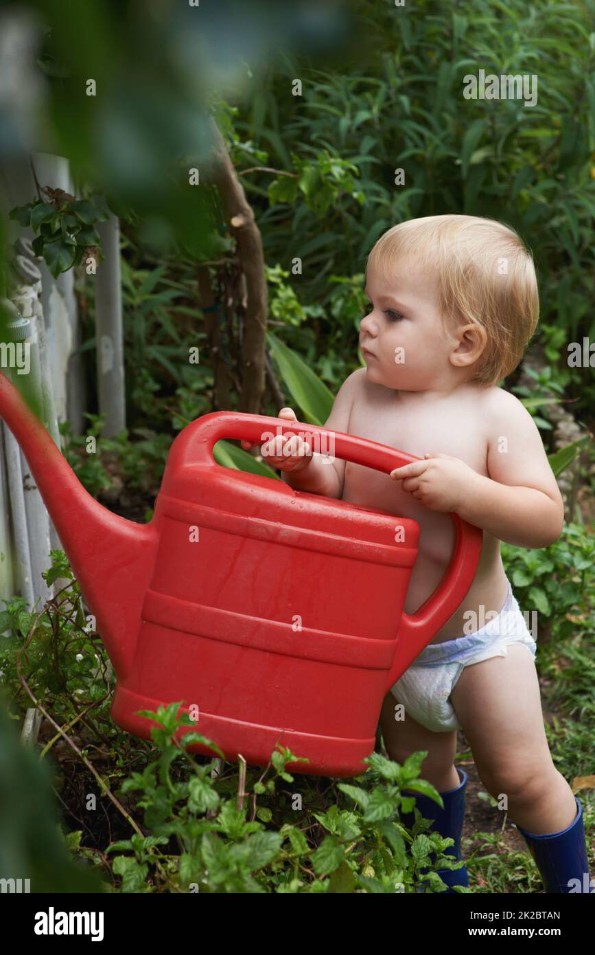 Neugierig, wie die Natur funktioniert. Ein entzückender kleiner Junge, der den Garten bewässert. Stockfoto