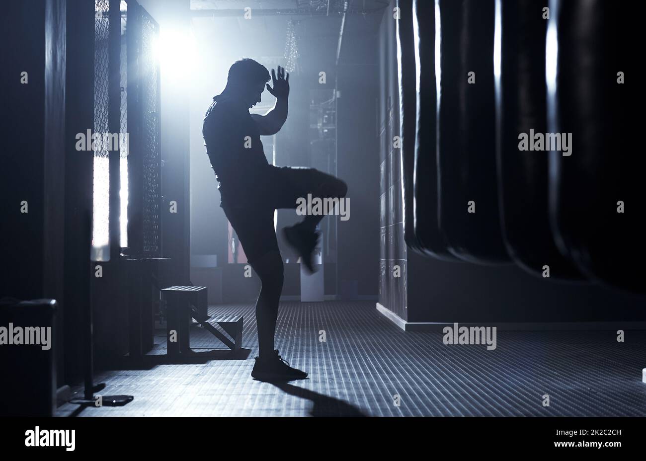 Wahre Krieger sind instinktiv heftig. Aufnahme eines sportlichen jungen Mannes beim Kickboxing in einer Turnhalle. Stockfoto