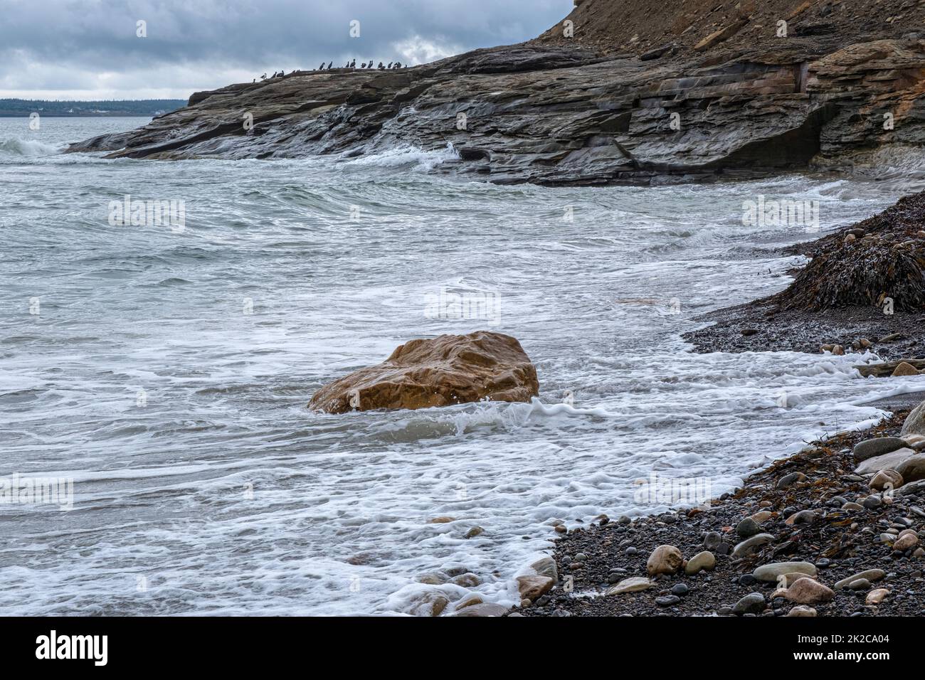 Die Welle beginnt sich zwei Tage vor dem Landfall durch den Sturmflut Fiona im atlantischen Kanada zu entwickeln. Stockfoto