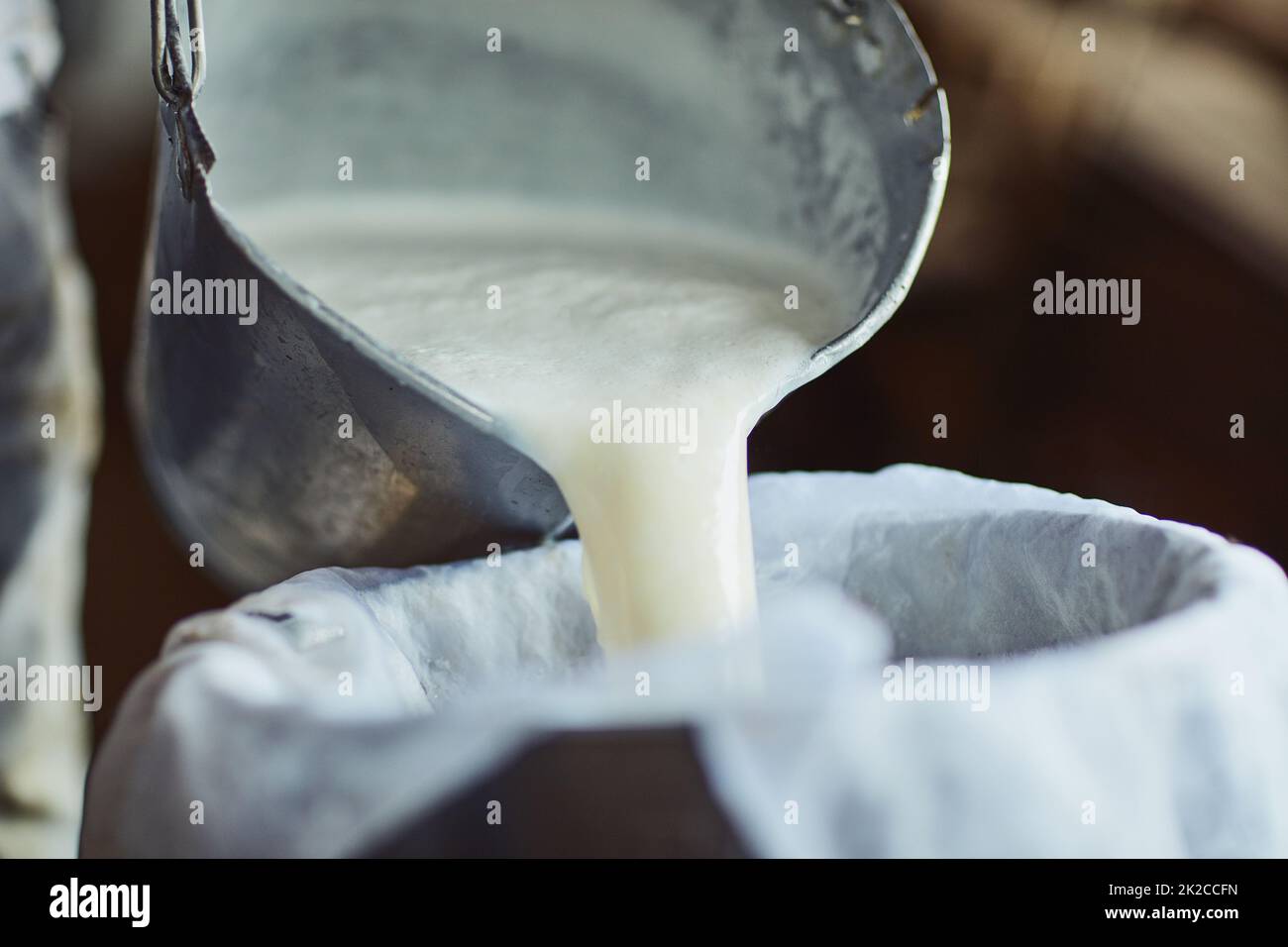 Die Schritte zur Käseherstellung. Ein kurzer Schuss eines nicht erkennbaren Bauern, der unverarbeitete Milch in einen Behälter in einer Scheune gießt. Stockfoto