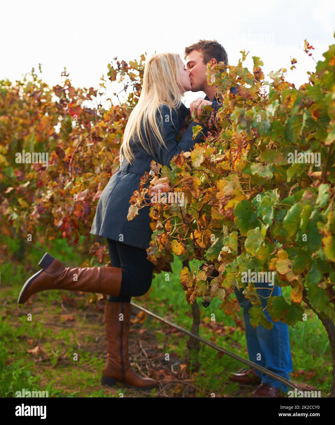 Weinbergsromantik. Ein junges Paar küsst sich auf den Weinbergen. Stockfoto