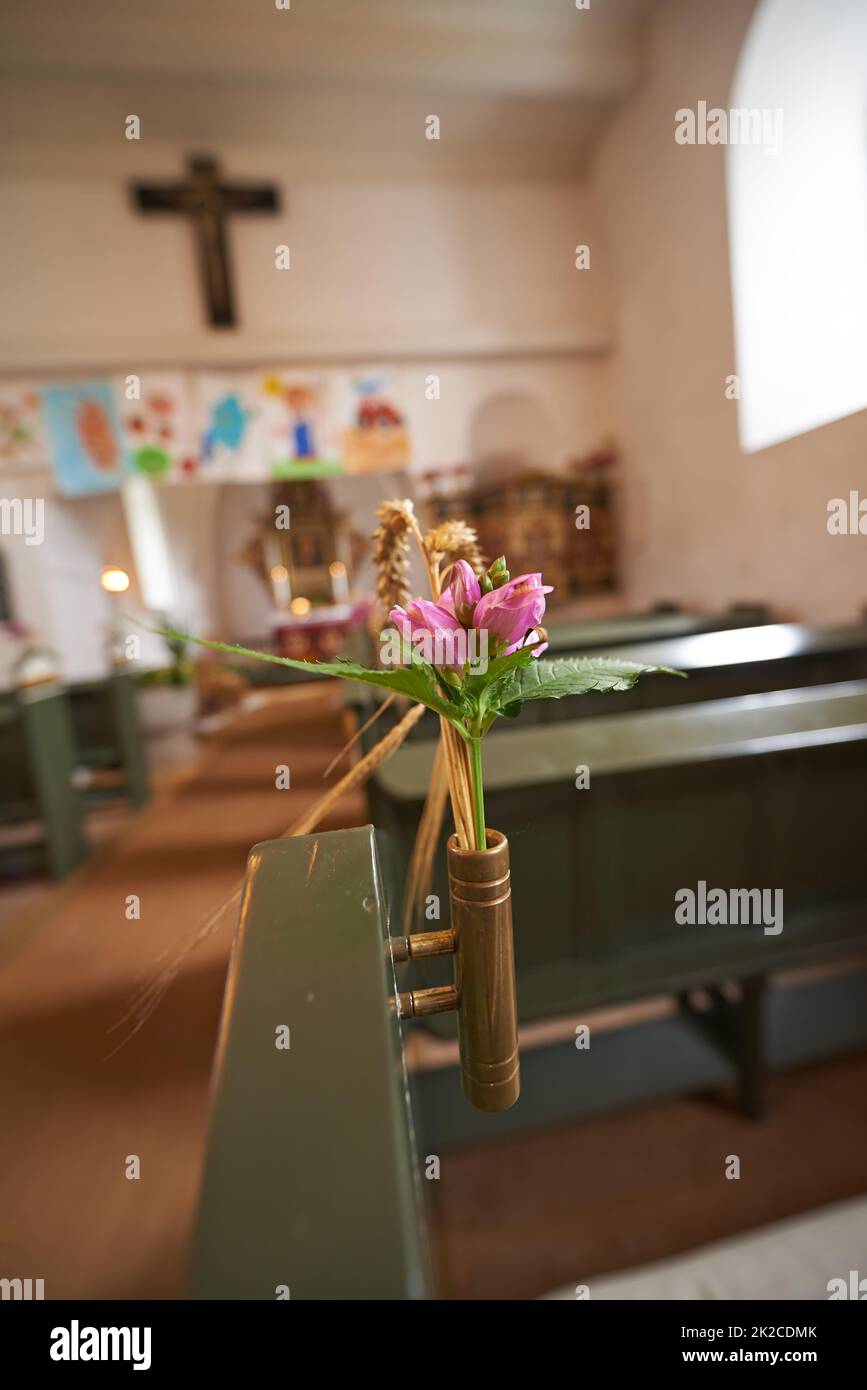 Dank für eine reiche Ernte. Ein Curchpew in der Dänischen Nationalkirche, der während des jährlich geernteten Festivals dekoriert wurde. Stockfoto