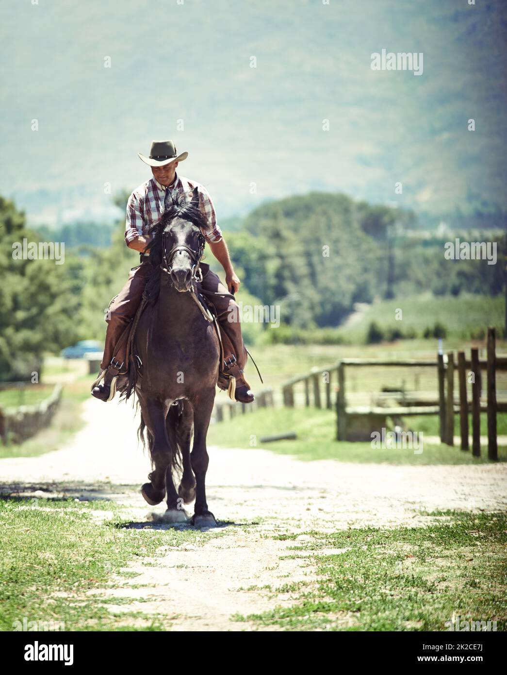 Ja, Aufnahme eines Cowboys, der auf einer Landstraße auf seinem Pferd reitet. Stockfoto