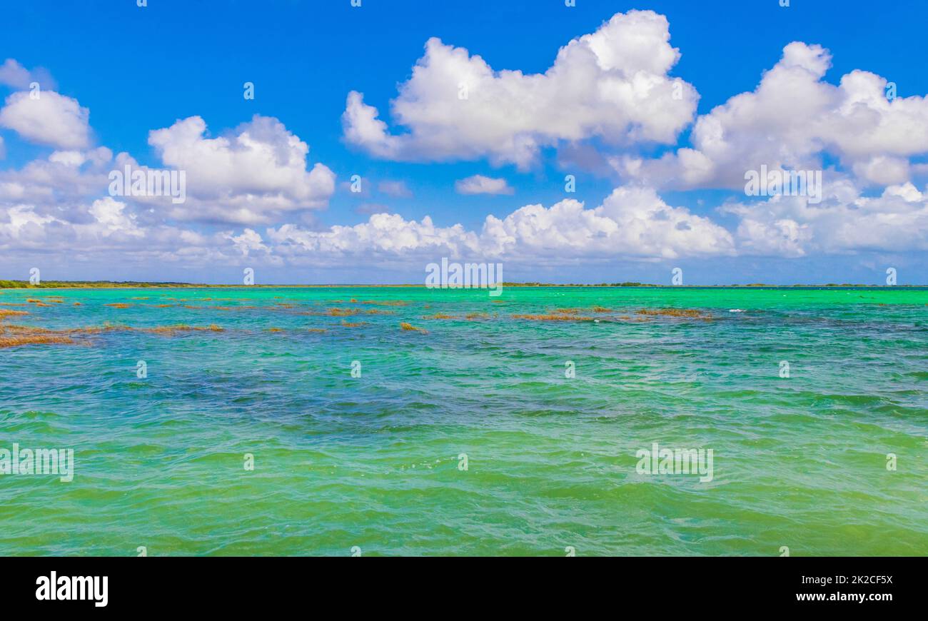 Muyil Lagoon Panoramablick Landschaft türkisfarbenes Wasser Mexiko. Stockfoto