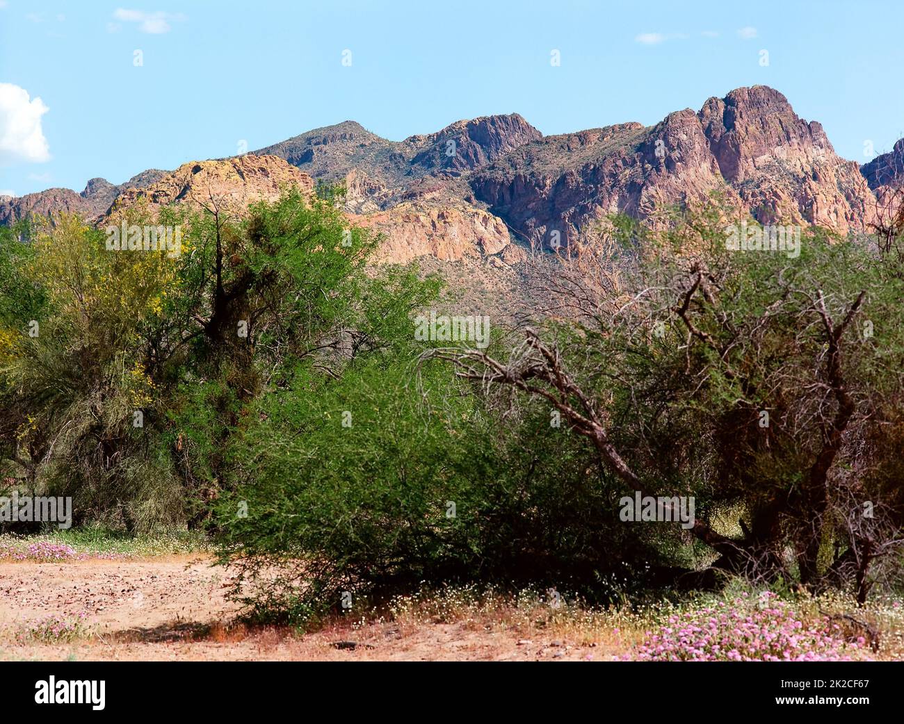 Wusury Mountain Park Arizona Stockfoto