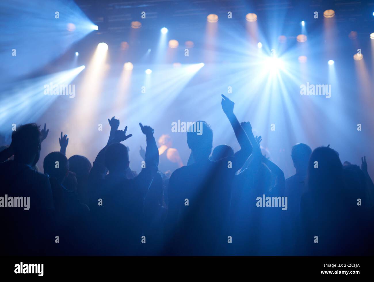 Jubeln über ihre Lieblingsband. Aufnahme von anbetenden Fans bei einem Rockkonzert. Stockfoto