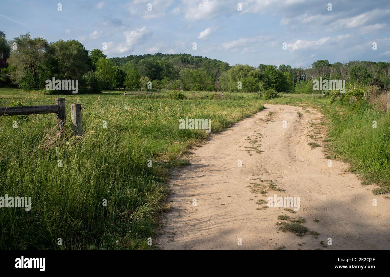 Idyllische, ruhige Landstraße durch grüne Wiese Stockfoto