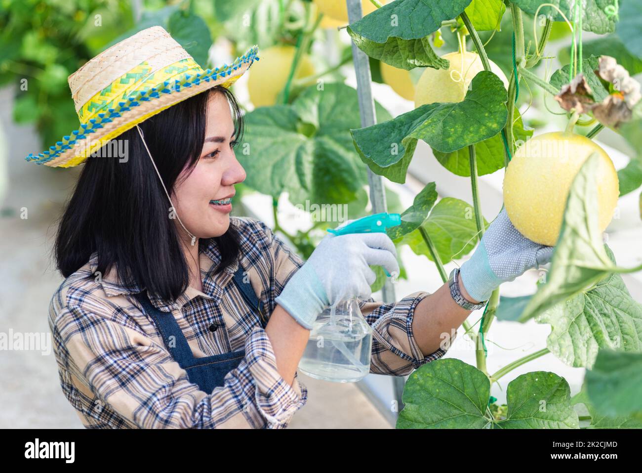 Junge Bauerin, die Wasser mit nebligen Spritzen in das Gartenwächshaus sprüht Stockfoto