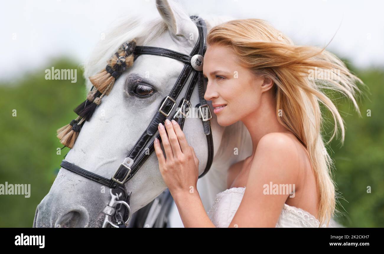 Ihrem Hengst die Aufmerksamkeit zu schenken, die er verdient. Eine atemberaubende junge Braut, die ihrem schönen Hengst Zuneigung schenkt. Stockfoto