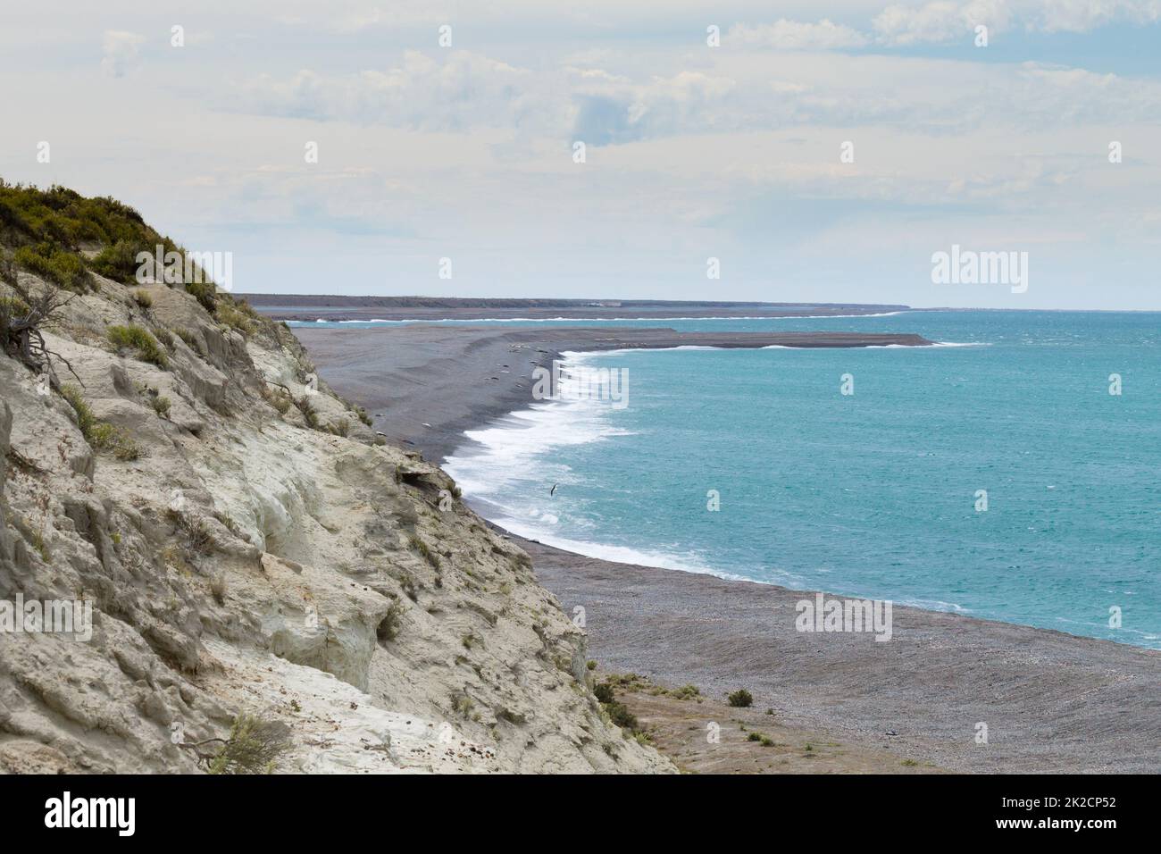 Elefantenrobben am Strand von Caleta Valdes, Patagonien, Argentinien Stockfoto