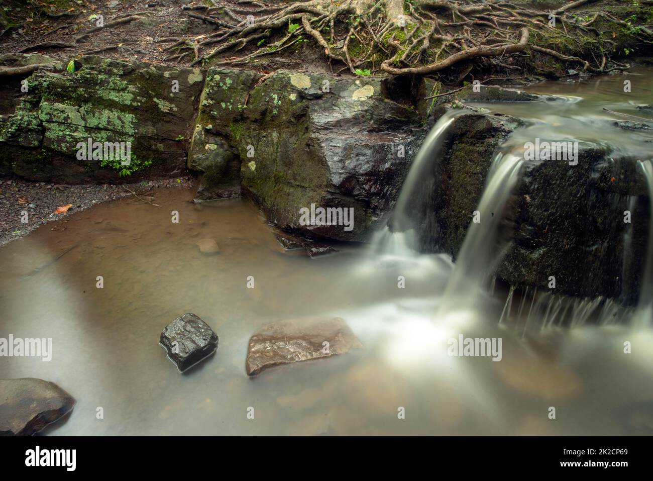 Nahaufnahme eines idyllischen Waldstroms und Wasserfalls in Zeitlupe Stockfoto