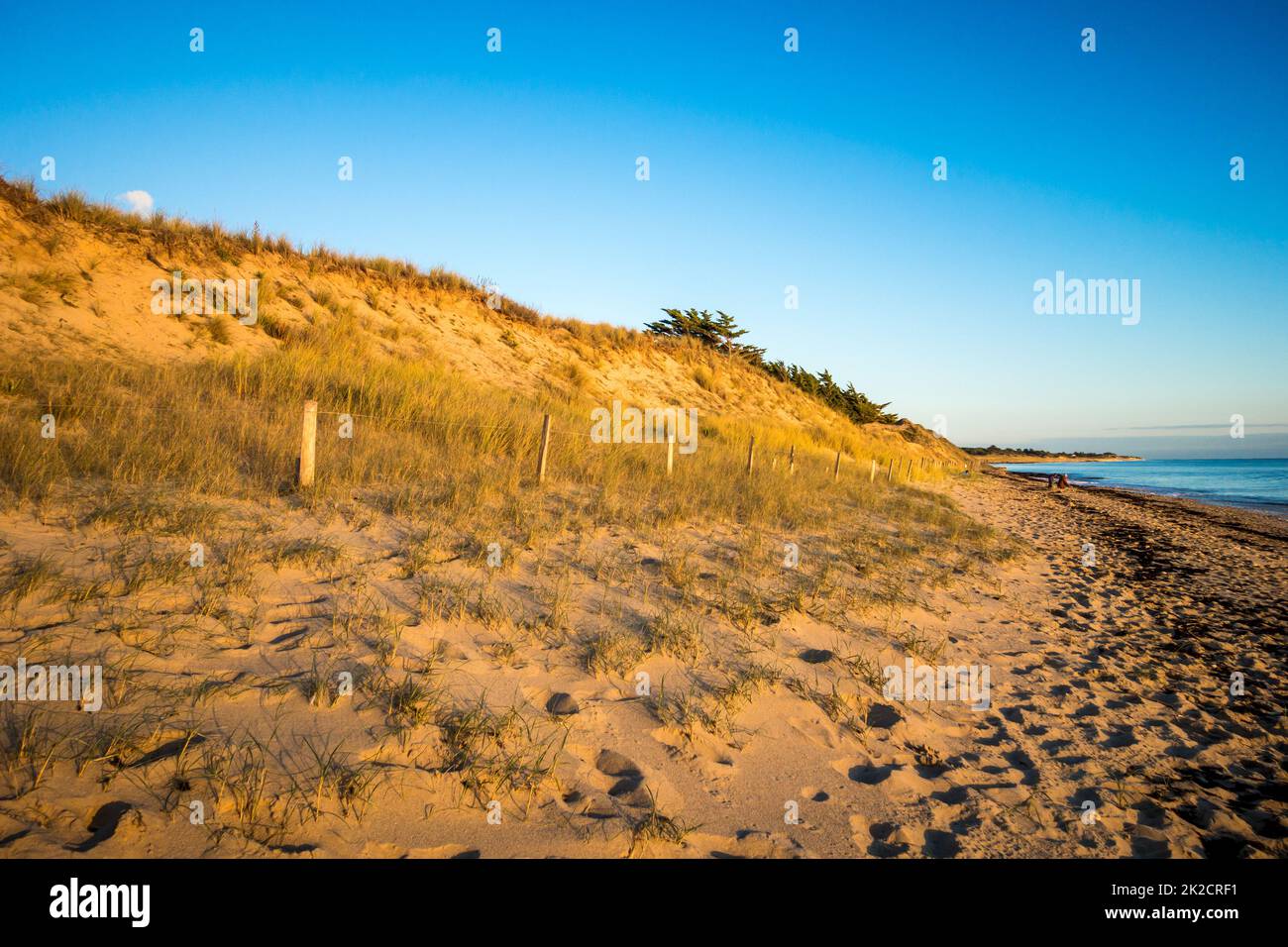 Sanddüne und Zaun am Strand bei Sonnenuntergang. Re Island Stockfoto