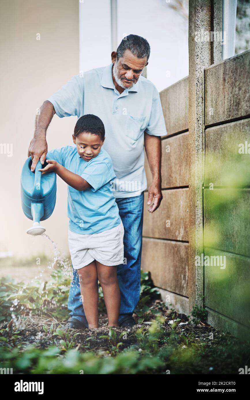 Gartenarbeit hilft Kindern, Lektionen über Freundlichkeit und Fürsorge zu lernen. Foto eines kleinen Jungen und seines Großvaters, wie er den Garten gemeinsam im Freien bewässert. Stockfoto