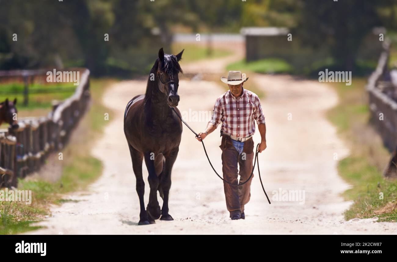 Lassen Sie uns ein Gespräch führen. Aufnahme eines Cowboys, der sein Pferd an den Zügeln führt. Stockfoto