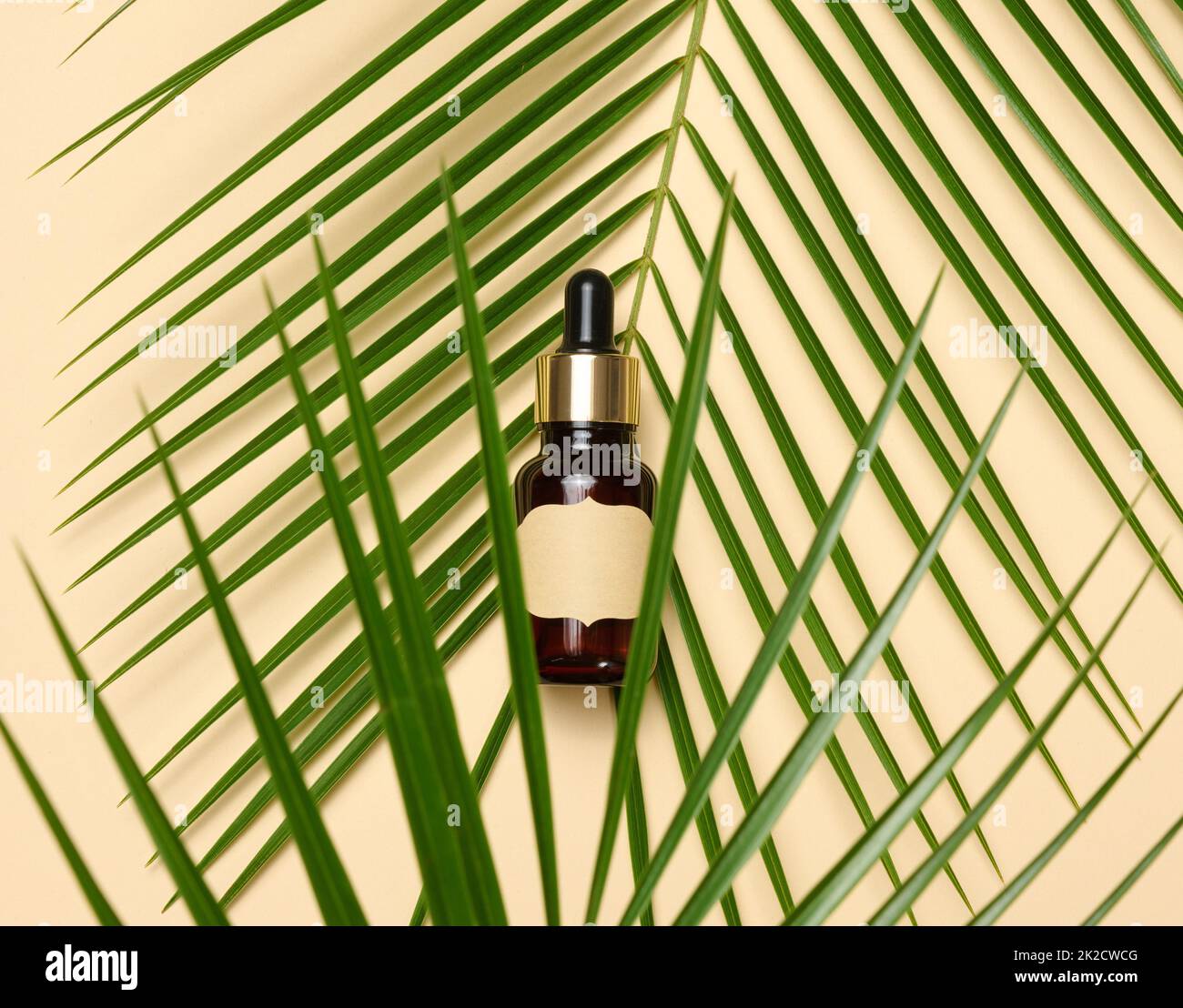 Braune Glasflasche mit Pipette und mit leerem Papieretikett steht auf braunem Hintergrund. Behälter für Kosmetik, Serum und Öl, Palmblatt Stockfoto