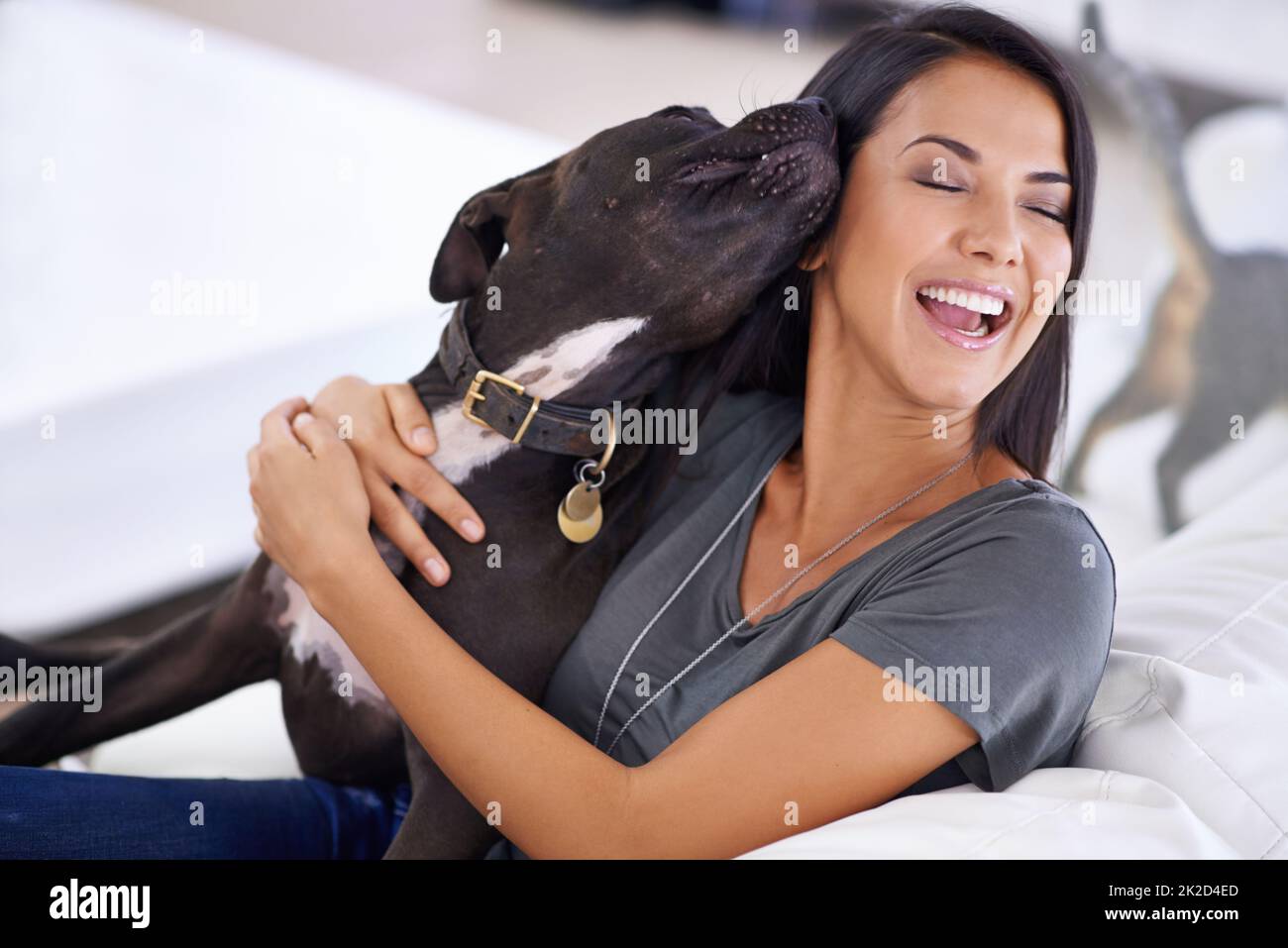 Hundebegleiter. Aufnahme einer attraktiven jungen Frau, die zu Hause mit ihrem Hund kuschelt. Stockfoto