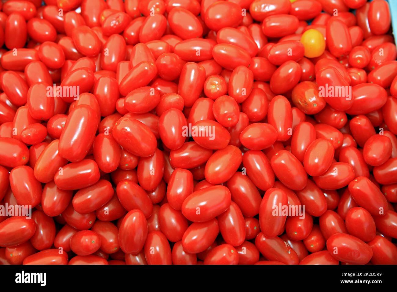 Kirschtomaten auf dem Bauernmarkt Stockfoto