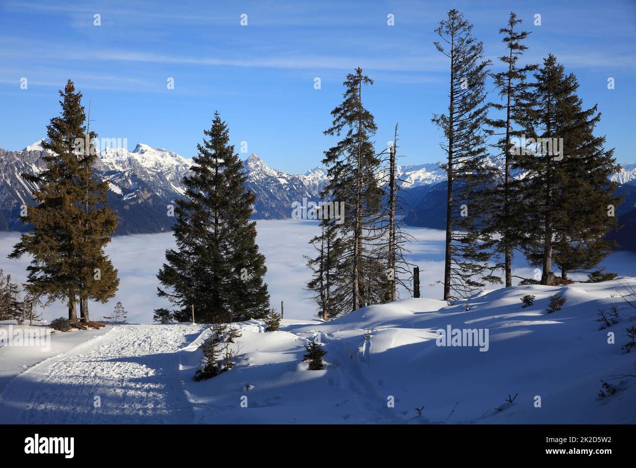 Europäische Alpen in Vorarlberg. Klostertalalpen. Österreich Stockfoto