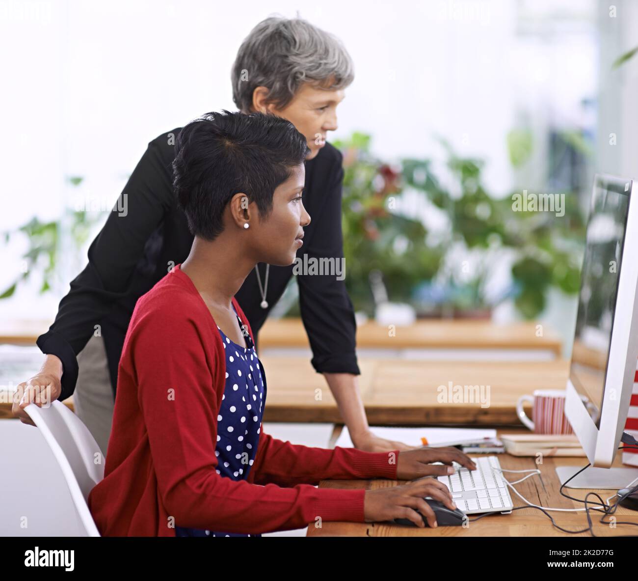 Erfolg erfordert harte Arbeit. Aufnahme von zwei weiblichen Kollegen, die über die Arbeit an einem Desktop-Computer diskutieren. Stockfoto