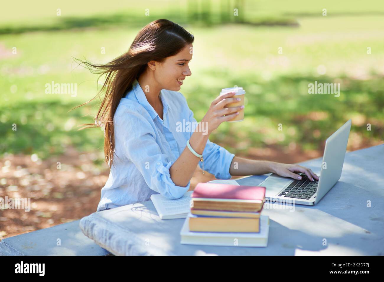 Sonnenschein Studienzeit. Aufnahme einer schönen jungen College-Studentin, die mit ihrem Laptop und Büchern im Park sitzt. Stockfoto