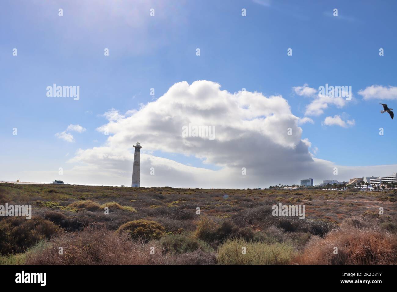 Saladar de JandÃ­a, ein Feuchtgebiet und Naturschutzgebiet an der Playa del Matorral Stockfoto