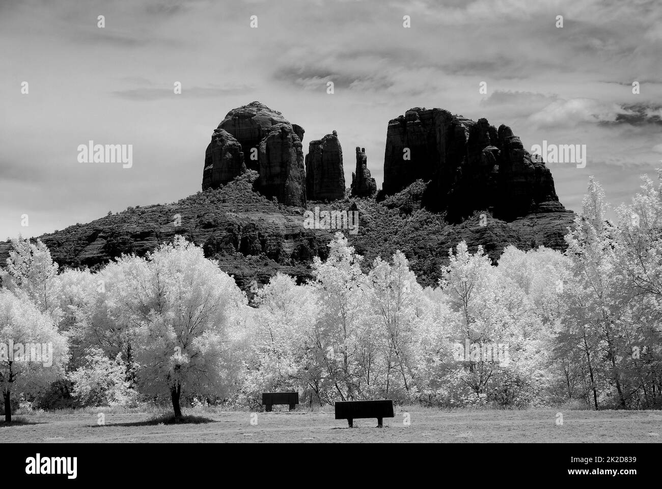 Cathedral Rock Sedona Arizona Stockfoto