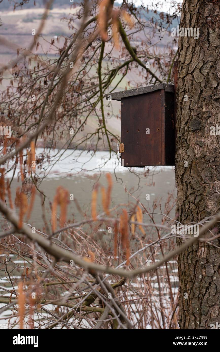 Vogelhaus auf einem Baumstamm, Nistkasten für Vögel, Lebensraum der Tiere, Umweltproblem, Frühling Stockfoto