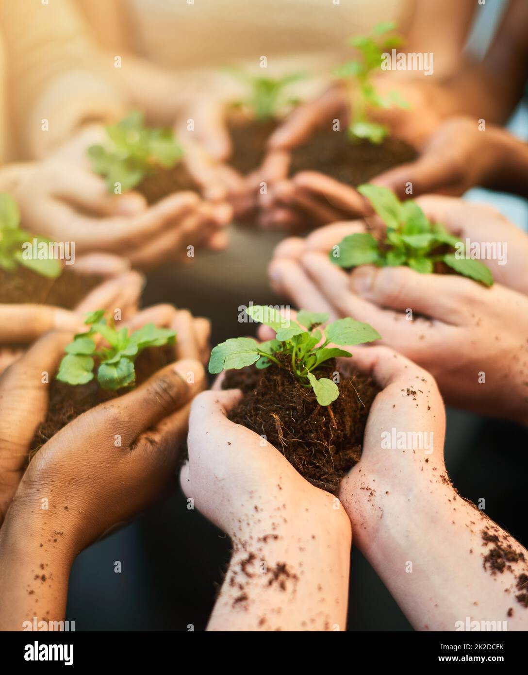 Gemeinsam die Zukunft fördern. Aufnahme einer Gruppe von Menschen, die jeweils eine im Boden wachsende Pflanze halten. Stockfoto