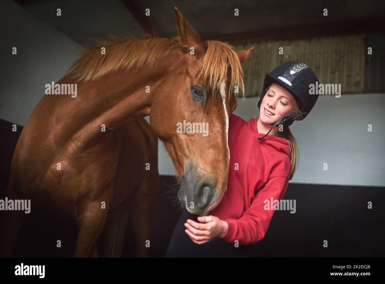 Keine Bindung mehr wahrheitsgetreuer. Aufnahme eines Teenagers, das sich mit ihrem Pferd anklebte. Stockfoto
