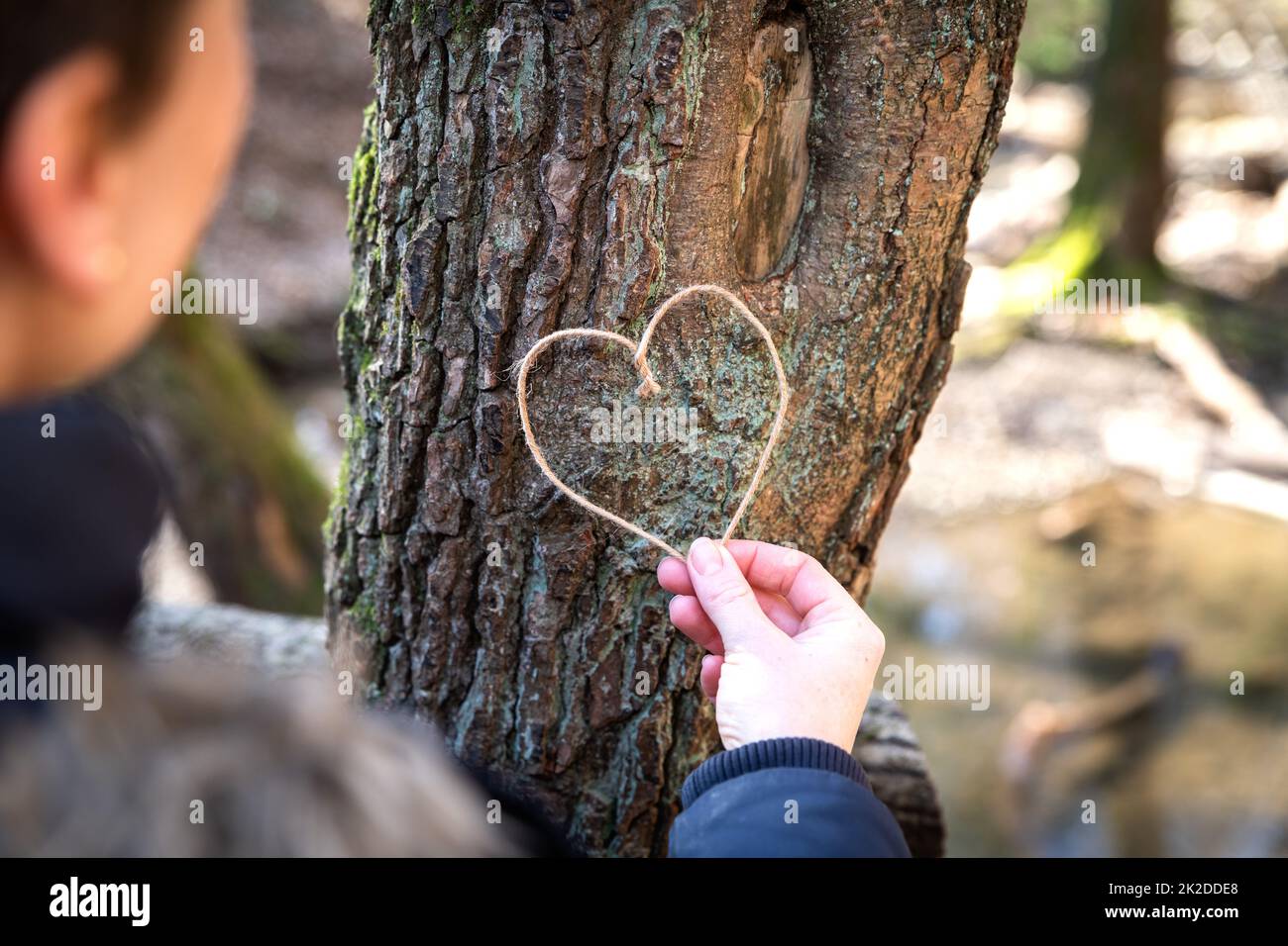 Verbindung zu Natur und Bäumen durch das Nabelschnurherz-Symbol Stockfoto