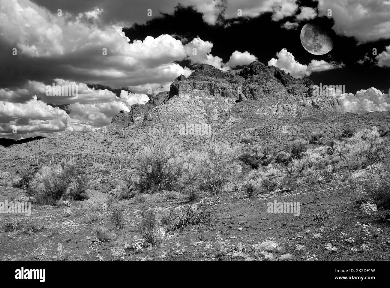 Sonora Wüstenmond Stockfoto