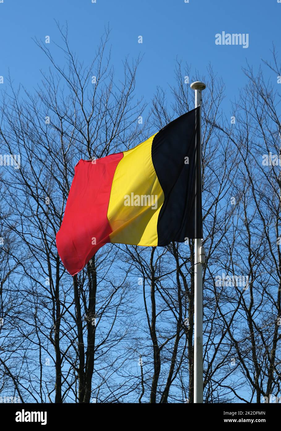 An einem sonnigen Tag im Frühling vor einigen Bäumen die belgische Flagge zu schwenken Stockfoto
